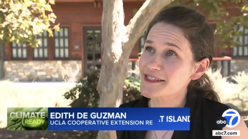 Edith de Guzman speaking with ABC7 News about how trees keep cities cool